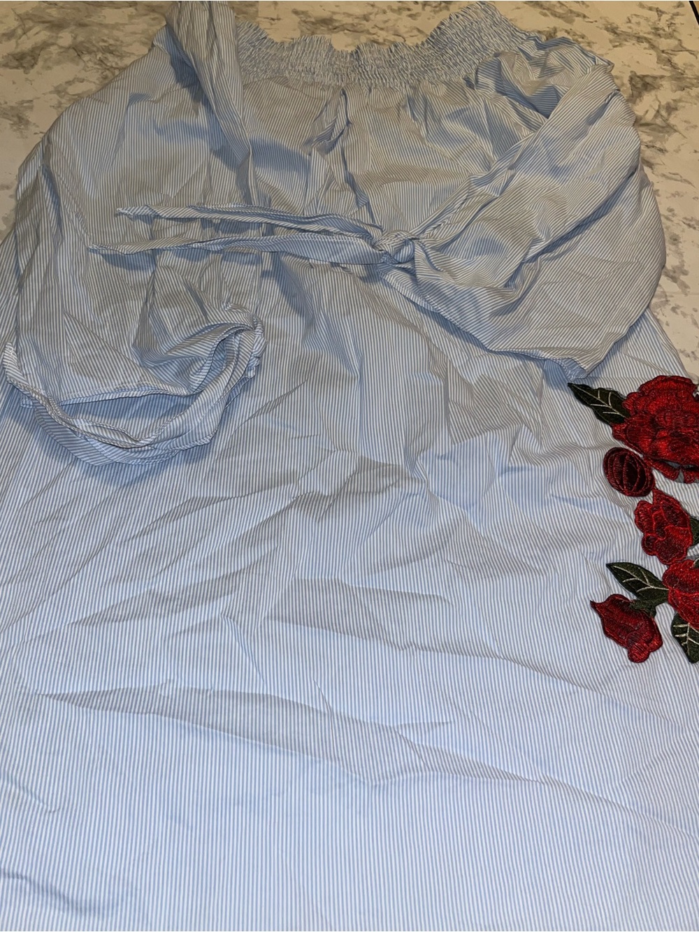 Sol Sana Blue and White Striped Mini Dress with Red Rose Appliqué
